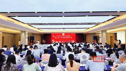 宜昌市企業(yè)納稅人服務協(xié)會順利完成換屆選舉，百余會員共襄盛會