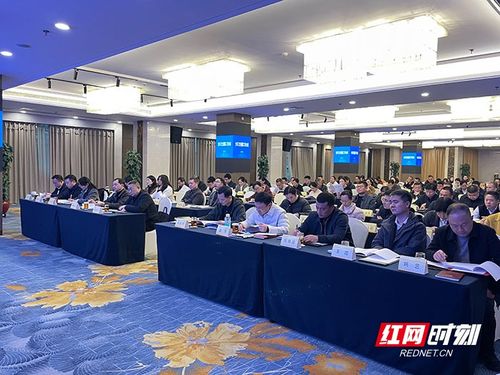 深化改革強服務，擘畫健康新藍圖——株洲市2026年全市衛(wèi)生健康工作會議圓滿召開
